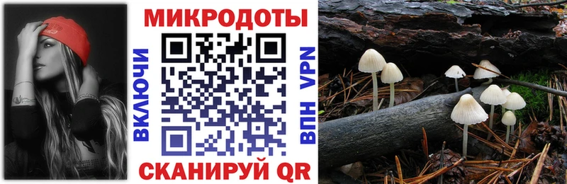 Псилоцибиновые грибы GOLDEN TEACHER  Чернушка 