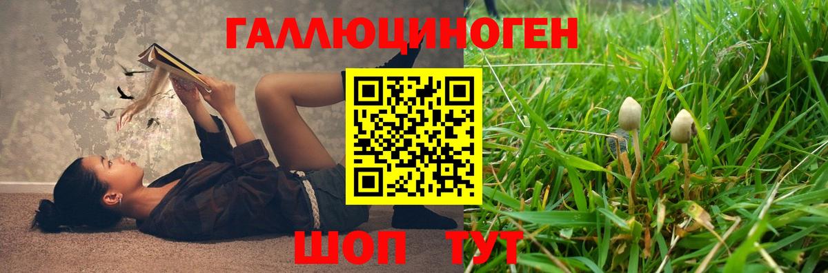 Псилоцибиновые грибы Psilocybine cubensis  наркотики  Чернушка  Вход с VPN 