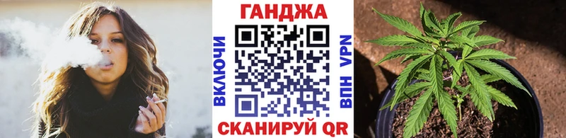 Бошки марихуана сатива  магазин    Чернушка 